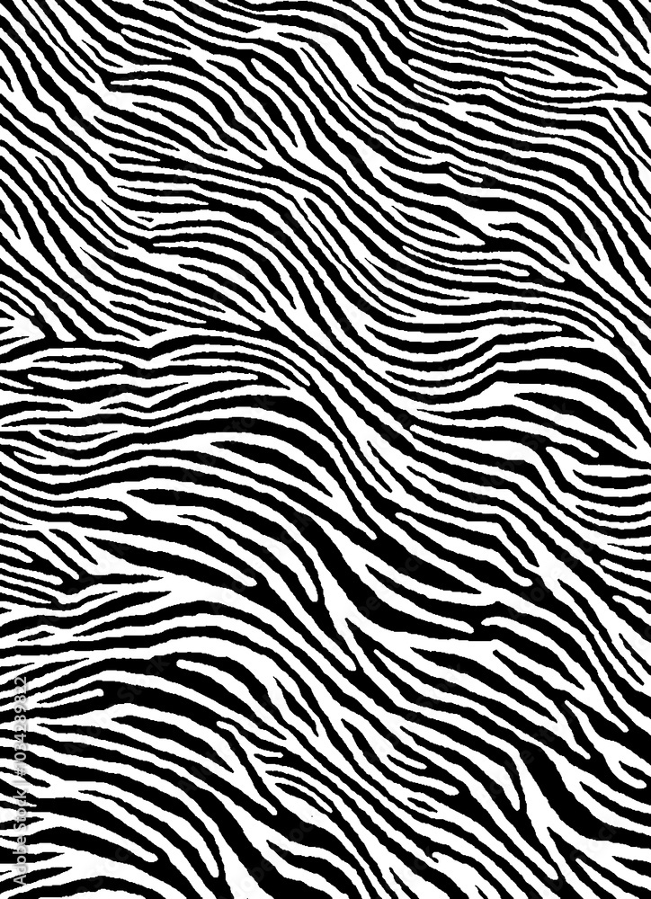 Zebra pattern, abstract, new, innovation, design Zebra pattern, abstract, new, innovation, design