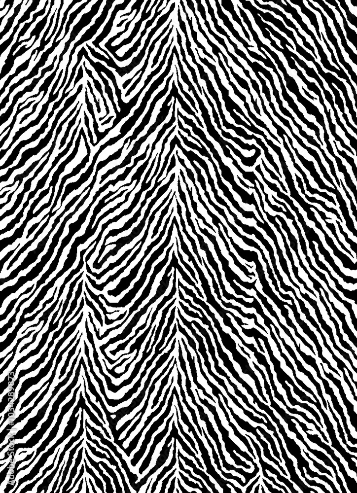Zebra pattern, abstract, new, innovation, design Zebra pattern, abstract, new, innovation, design
