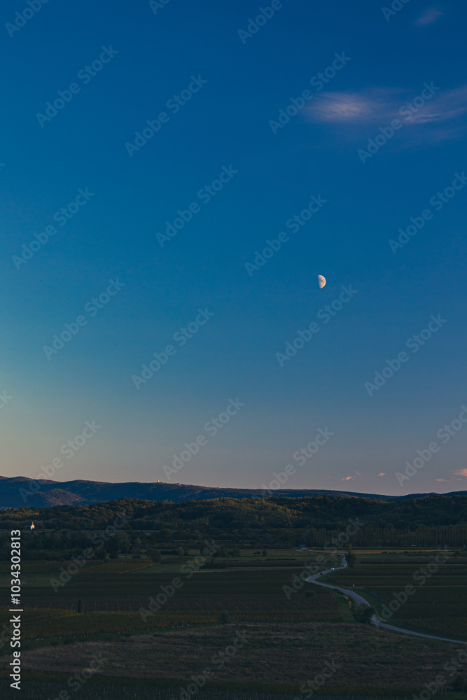 Colorful sunset in the vineyards at the border between Italy and Slovenia