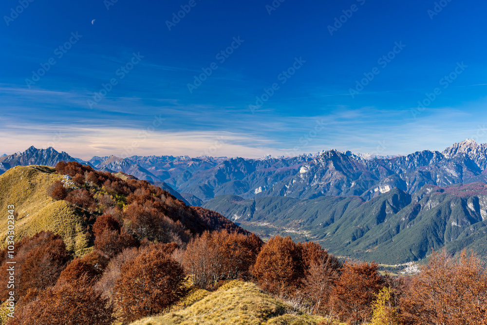 Foliage in the woods of Val di Resia, Friuli-Venezia Giulia