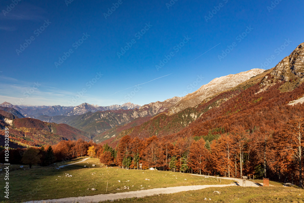 Foliage in the woods of Val di Resia, Friuli-Venezia Giulia