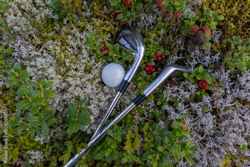 The aesthetics of Finnish Golf. Golf clubs and golf ball in a moss surrounded by cranberries.