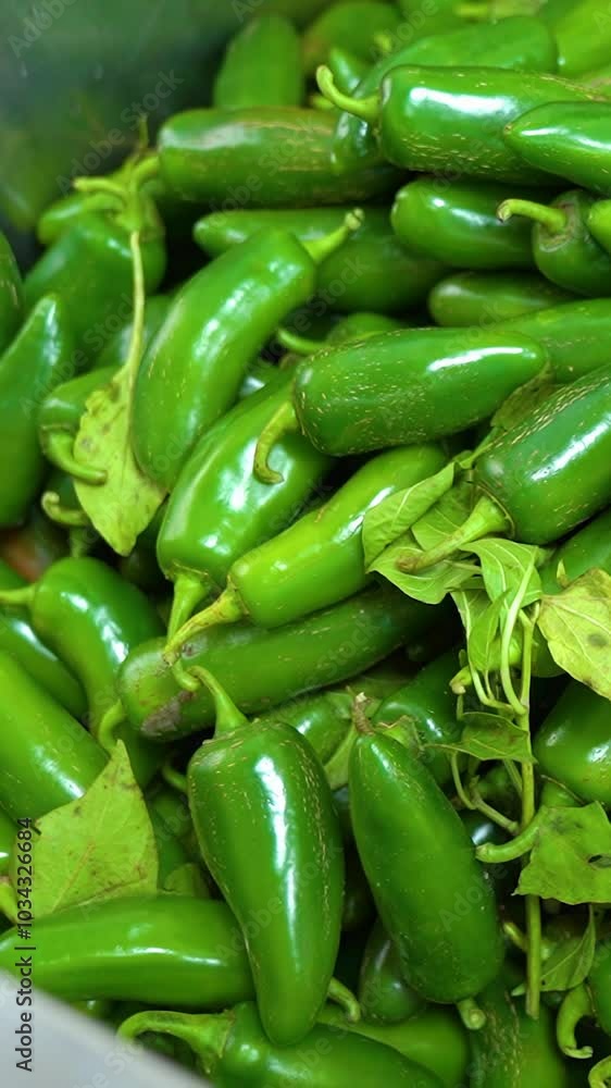 Making red chili and green jalapeno sauce. Hot jalapeno chili sauce. Making jalapeno sauce. Vertical video. Making red chili and green jalapeno sauce. Hot jalapeno chili sauce. Making jalapeno sauce. Vertical video.
