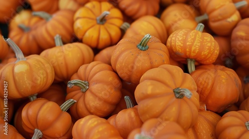 _Orange_Pumpkin_Halloween_Display_Board_Background