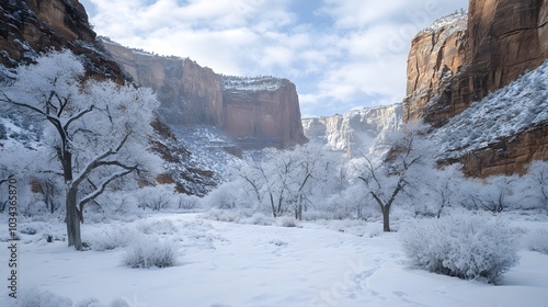 Zion Canyon Winter in Zion National Park.  photo