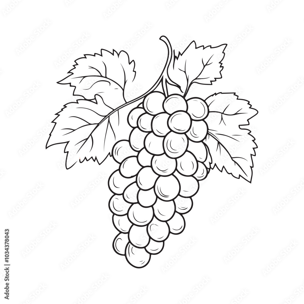 Fototapeta premium illustration of grapes