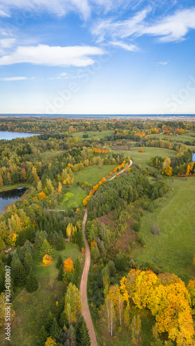 autumn trees on the lake