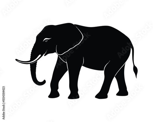 Elephant silhouette isolated on white background. vector illustration