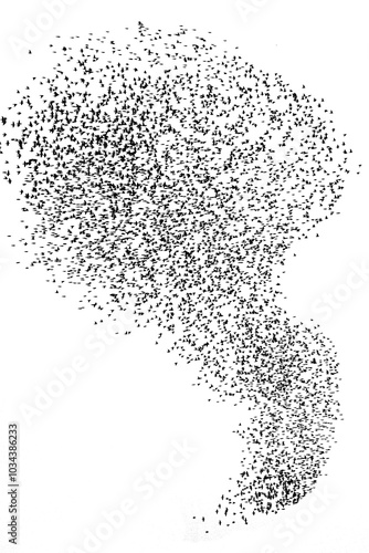 Cloud of starlings. Hundreds of starlings synchronize their flight