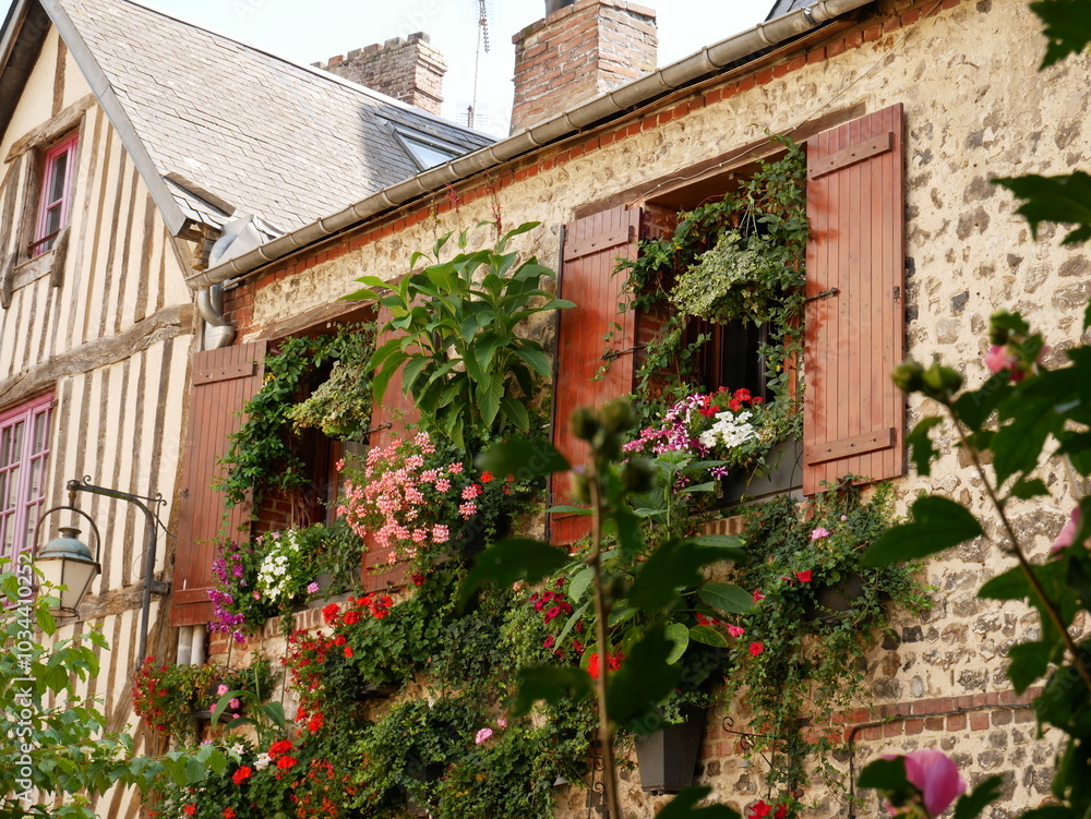 Fototapeta premium Fassade Blumen Frankreich Dorf Architektur