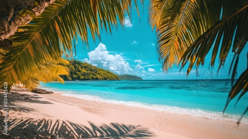 Lush Palm Trees Frame a Pristine Tropical Beach with Turquoise Waters