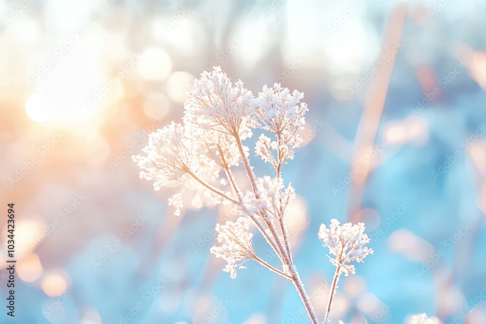 Dandelion standing tall against blue bokeh background Dandelion standing tall against blue bokeh background