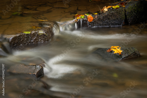 A long exposure photograph of Borsdane Brook, in Borsdane Woods, Wigan, Greater Manchester photo