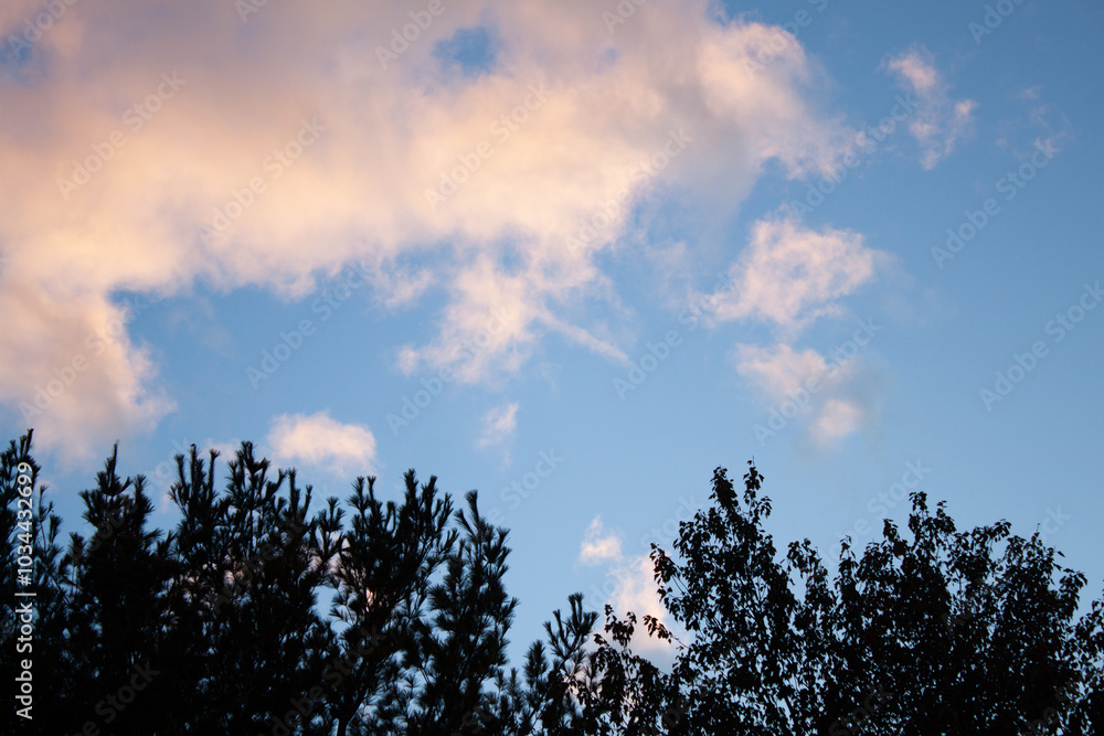 Fototapeta premium Evening sky