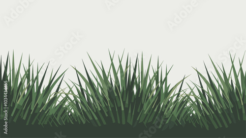 Realistic set of green grass patches png isolated on transparent background. Vector illustration of low plant with narrow leaves growing in garden. Herb for lawn decoration, grazing animals food