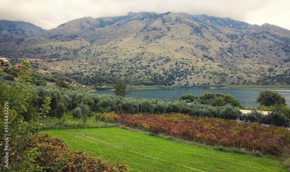 Obraz premium View of mountain, vineyard garden and Kournas on the island of Crete. Greece. Nature, landscape