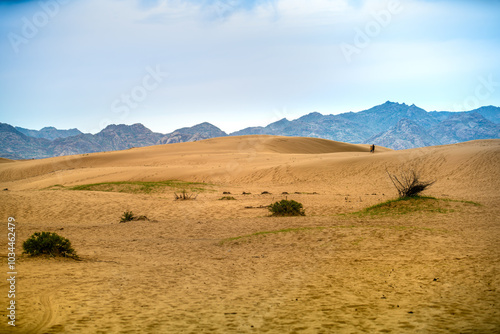 The Gobi Desert, a large, cold desert and grassland region located in northern China and southern Mongolia photo