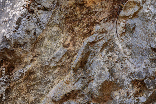 Detailed view of rocky terrain showcasing various textures and colors in a natural setting during daytime