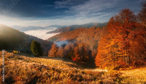 mystic view of mountain forest in autumn