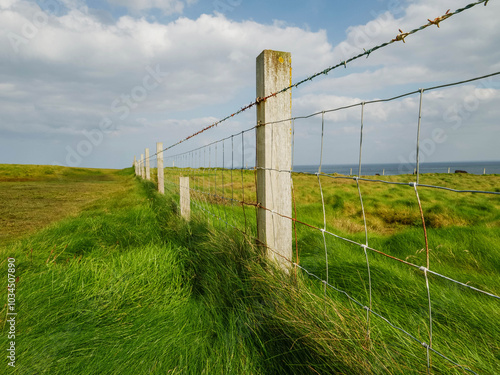 Metal wire fence in a green grass field and cloudy sky in the background.. Agriculture private land. Security and border identification. No entry zone.