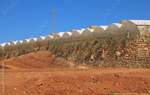 invernadero exterior tierra roja agricultura Almería   4M0A1436-as24