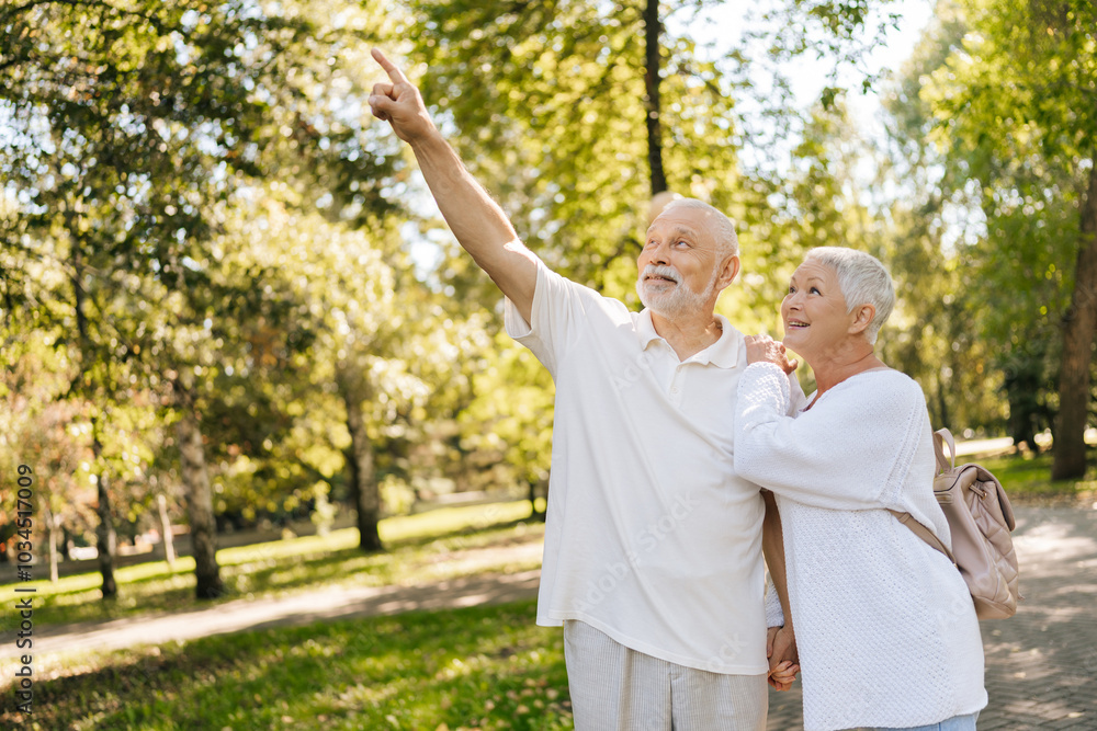Happy bearded elderly man pointing at something in distance while walking with pretty gray-haired senior wife in green park on sunny summer day, embodying togetherness and healthy aging. Happy bearded elderly man pointing at something in distance while walking with pretty gray-haired senior wife in green park on sunny summer day, embodying togetherness and healthy aging.