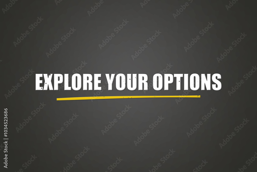 Explore your options. A blackboard with white text. Illustration with grunge text style. Explore your options. A blackboard with white text. Illustration with grunge text style.