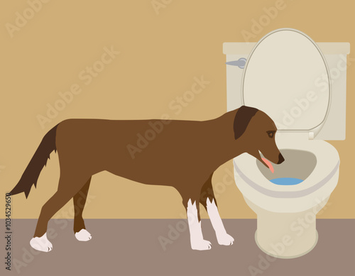 Dog Drinking From Toilet