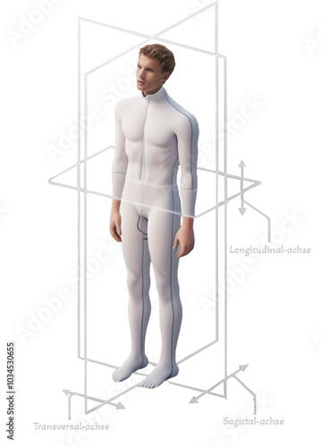 Foto Anatomisches Diagramm der Körperachsen (Longitudinal-, Transversal- und Sagittal