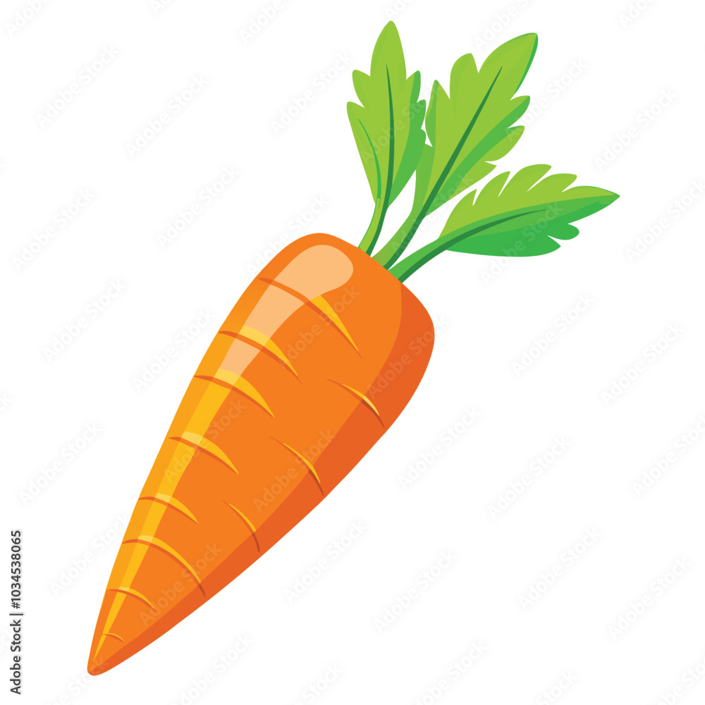Carrot vector illustration on a white background Carrot vector illustration on a white background