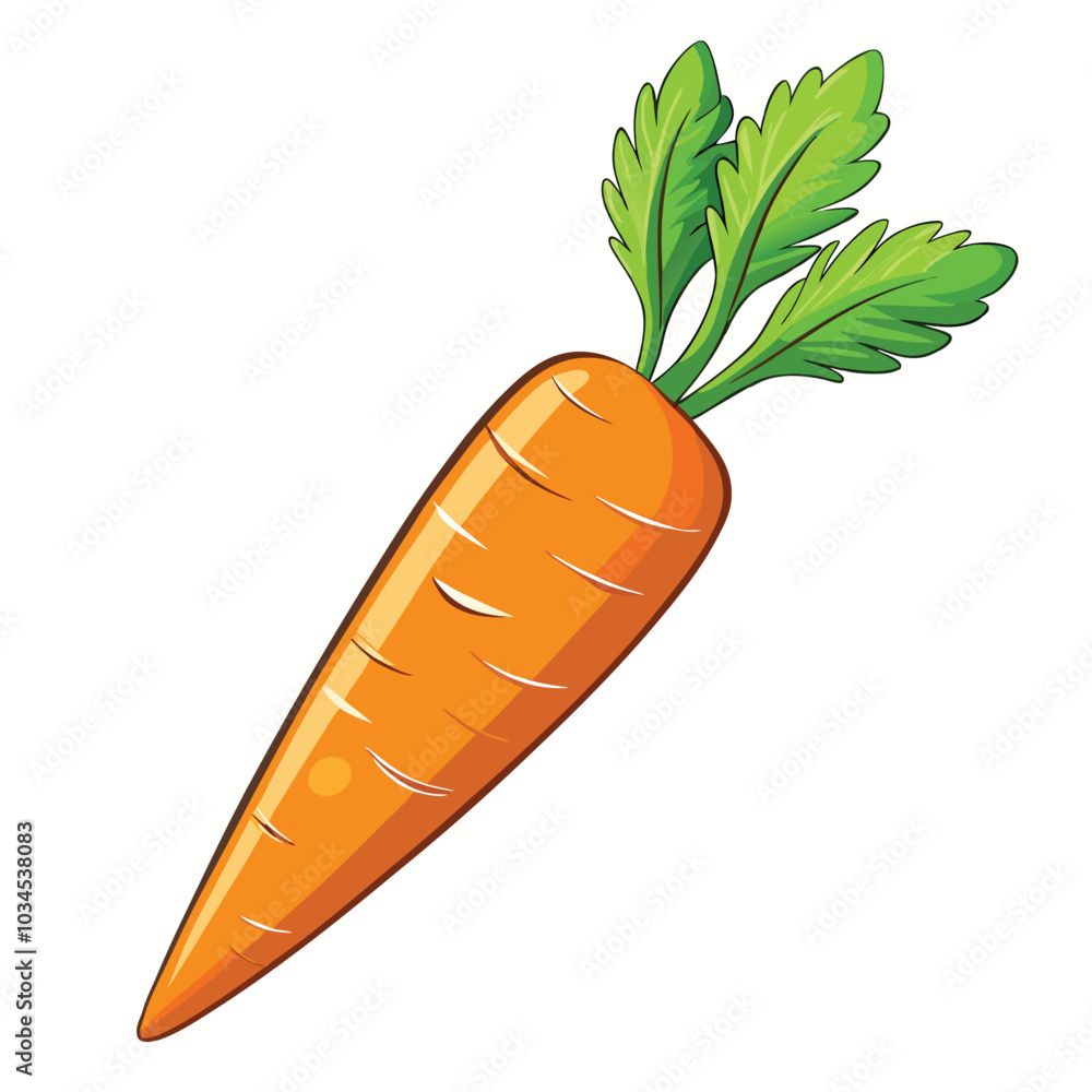 Carrot vector illustration on a white background Carrot vector illustration on a white background