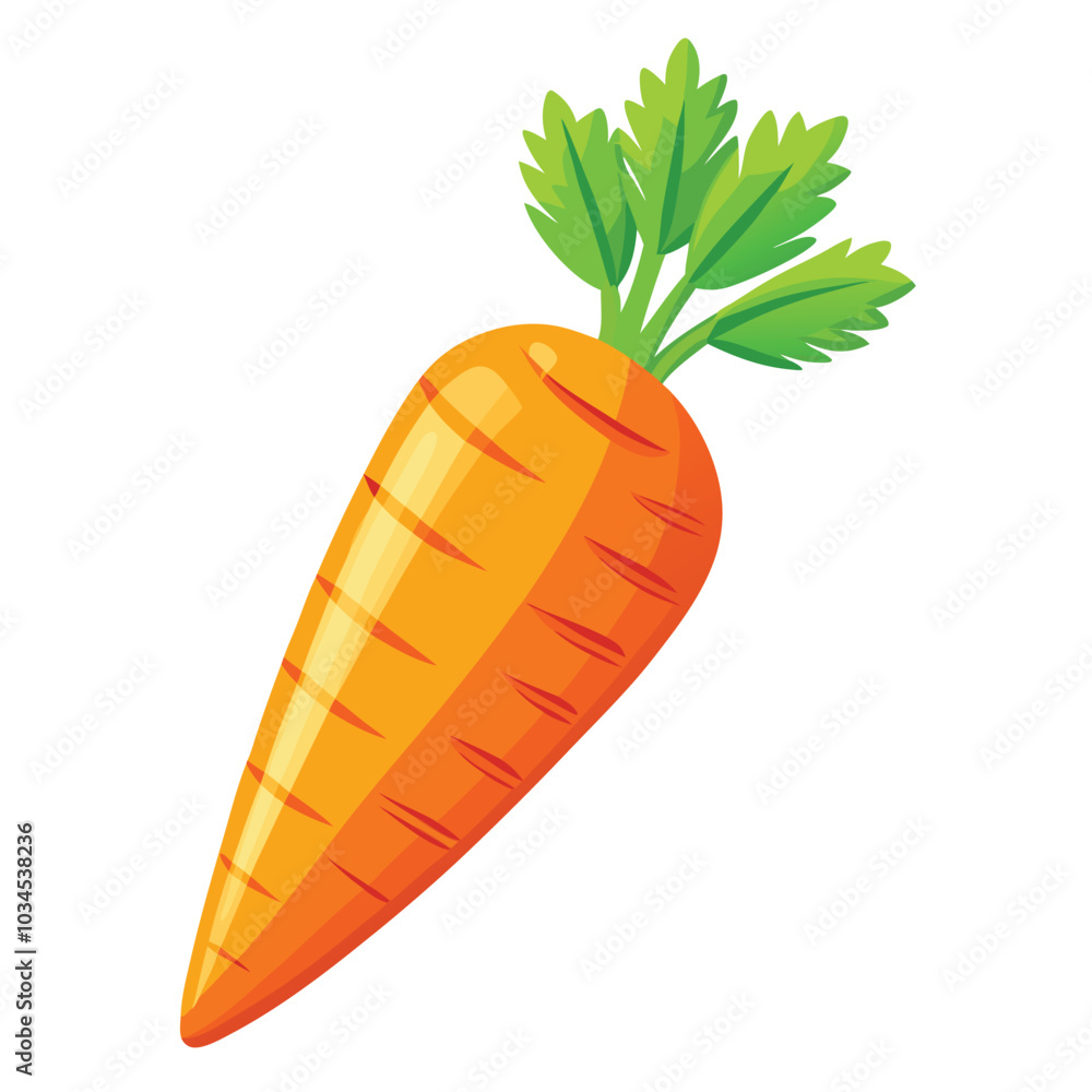 Carrot vector illustration on a white background Carrot vector illustration on a white background