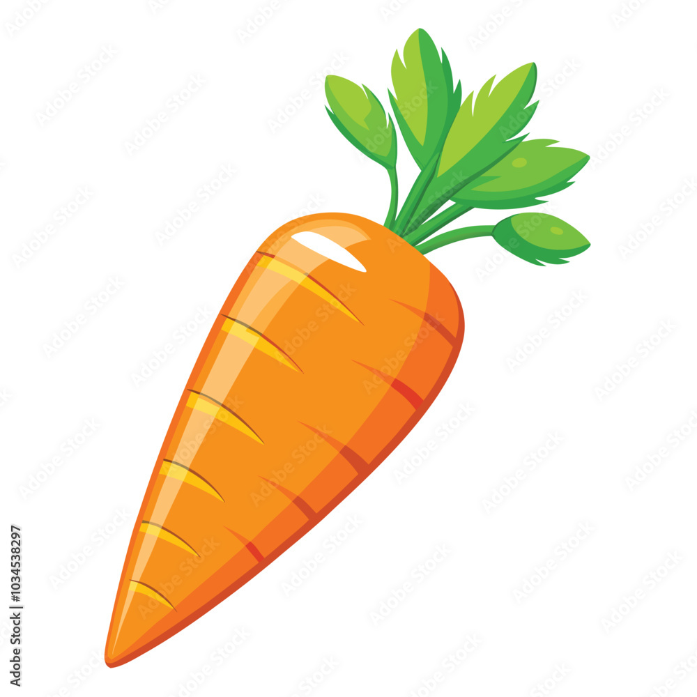 Carrot vector illustration on a white background Carrot vector illustration on a white background