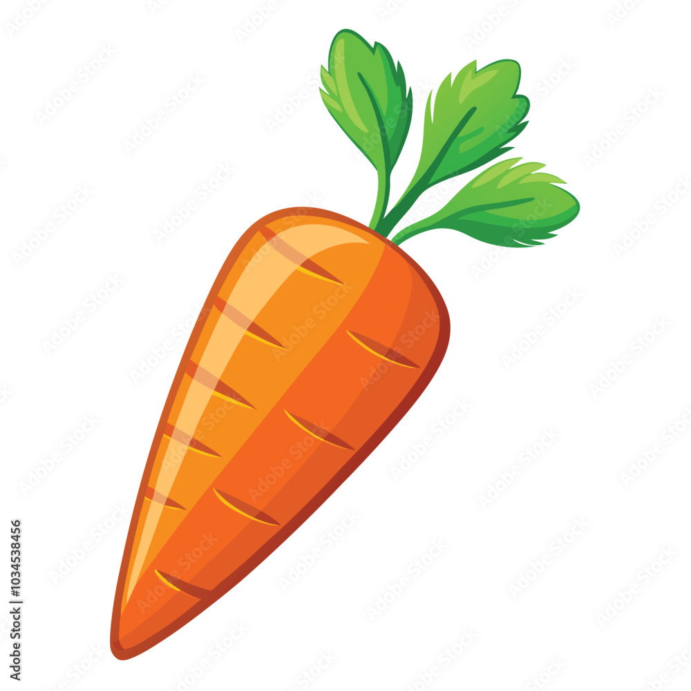 Carrot vector illustration on a white background Carrot vector illustration on a white background