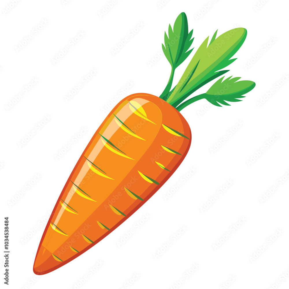 Carrot vector illustration on a white background Carrot vector illustration on a white background
