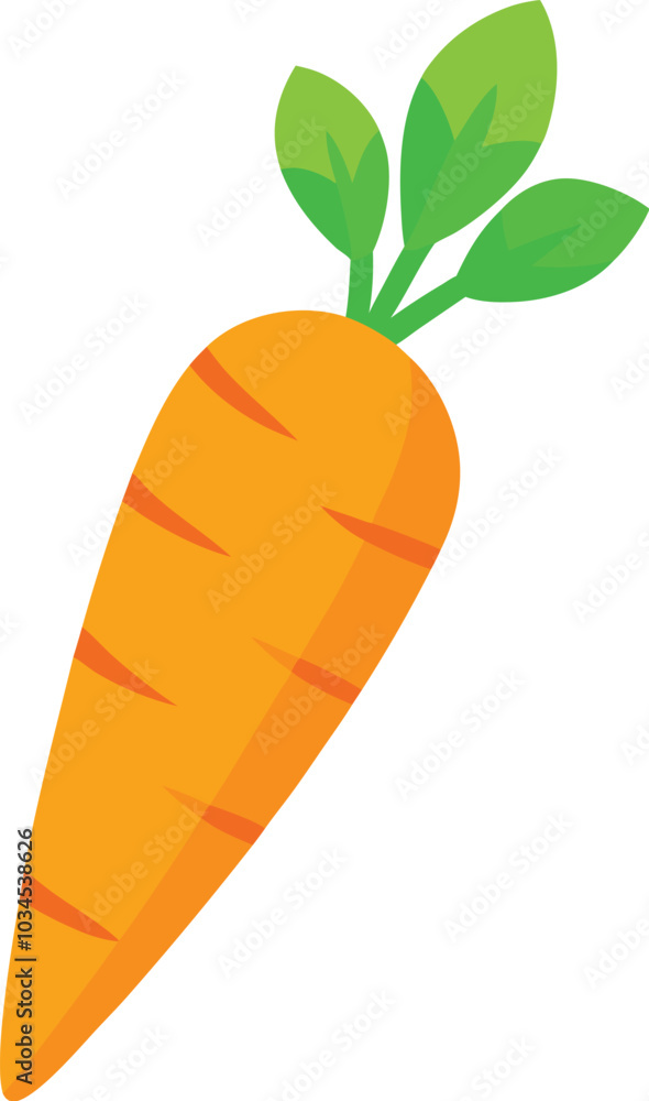Carrot vector illustration on a white background Carrot vector illustration on a white background