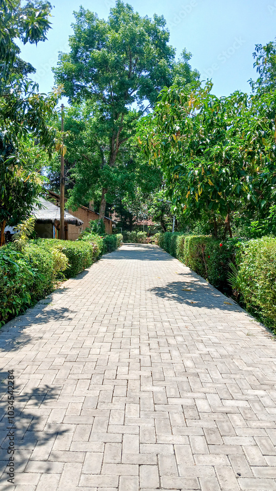 The path to the park, graphite paving texture, sidewalk. The natural beauty is very touching, there are various green plants around it. The path to the park, graphite paving texture, sidewalk. The natural beauty is very touching, there are various green plants around it.