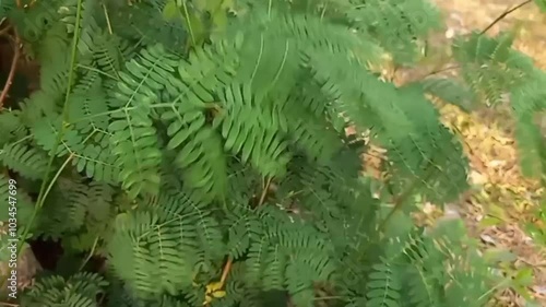 Green lush nature background. Beautiful green leaves blowing in the wind. Green leaf texture. Summer spring bright natural plant background. Vibrant colors foliage closeup.