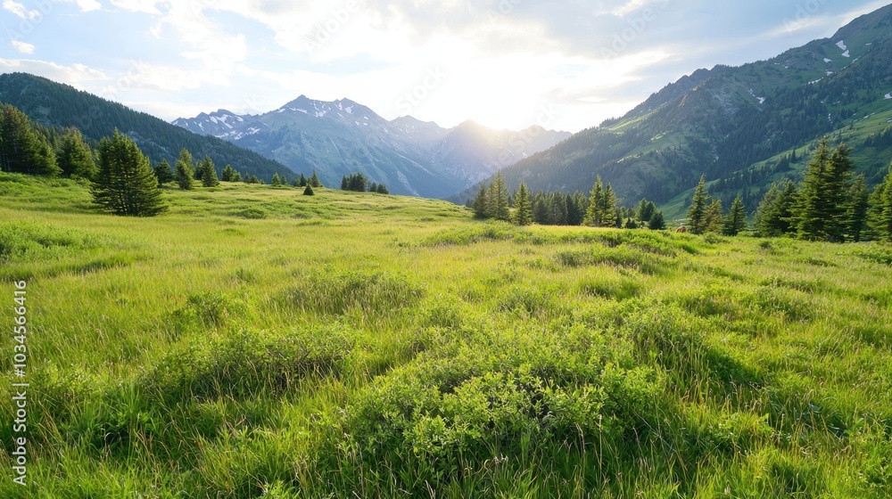 Fototapeta premium A serene landscape featuring lush green fields under a bright sky, with majestic mountains in the background.