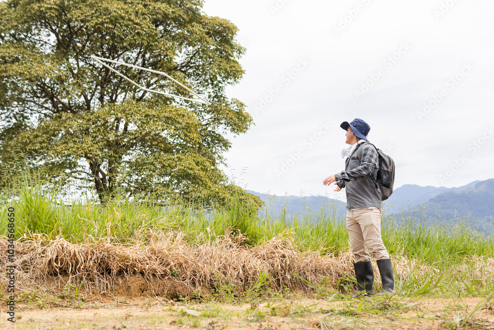 Engineer throwing the sampling frame to analyze the grass in a cattle ranch while conducting biomass measurements in the field Engineer throwing the sampling frame to analyze the grass in a cattle ranch while conducting biomass measurements in the field