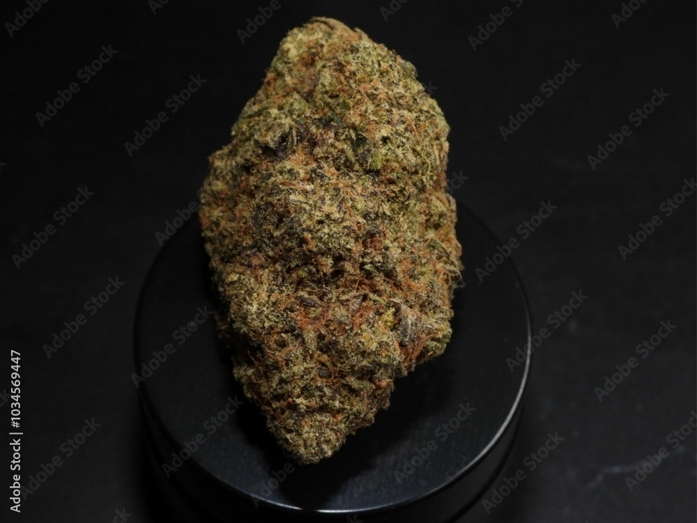 marihuana The Herb of Harmony cannabis coffeeshop Netherlands medicine ayurvedic ancient healing marihuana The Herb of Harmony cannabis coffeeshop Netherlands medicine ayurvedic ancient healing