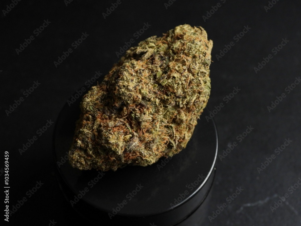 marihuana The Herb of Harmony cannabis coffeeshop Netherlands medicine ayurvedic ancient healing marihuana The Herb of Harmony cannabis coffeeshop Netherlands medicine ayurvedic ancient healing
