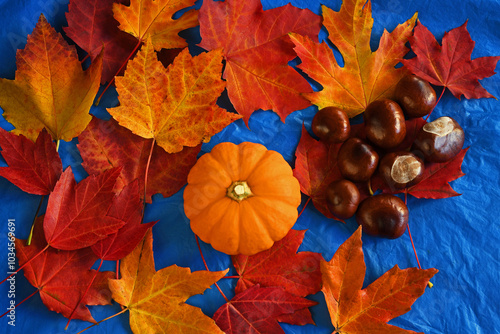 Top down view of one orange mini pumpkin surrounded by orange colored leaves and acorns on blue background.