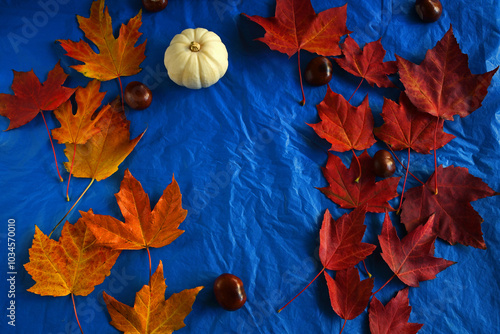 Top down view of one mini white pumpkin surrounded by autumn maple leaves and acorns on dark blue background.