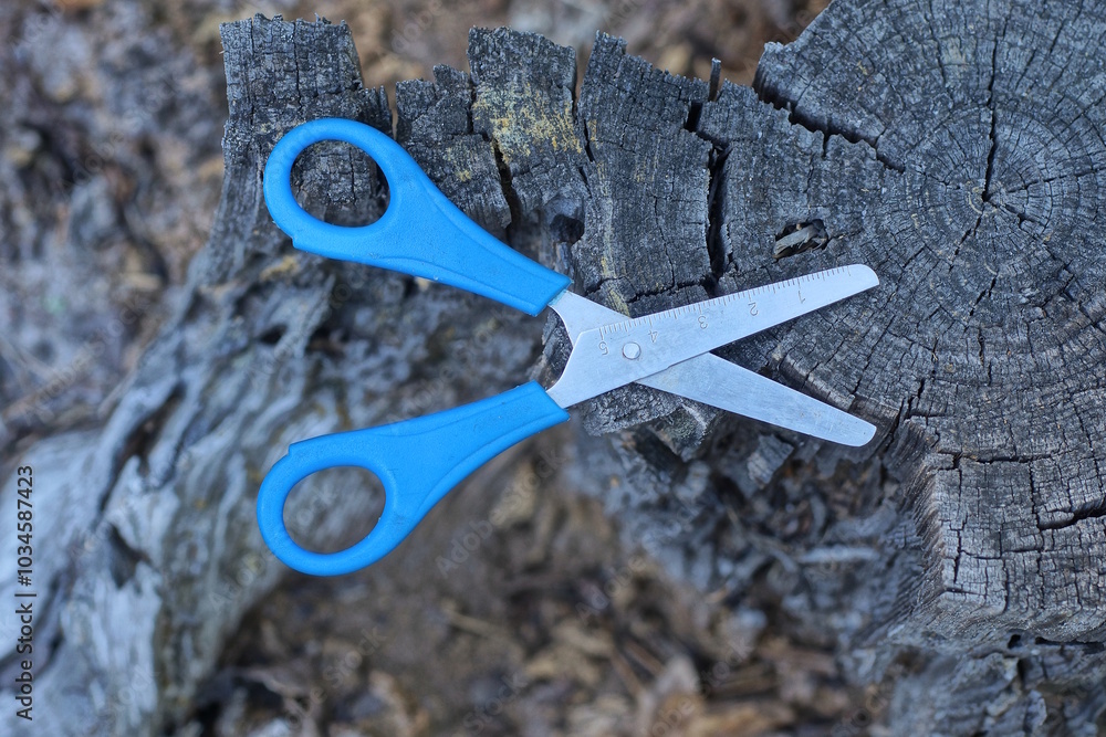 Obraz premium one gray blue scissors lies out of a wooden stump on a summer street in nature