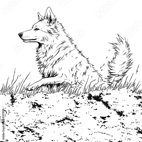 Detailed black and white vector illustration of a fluffy dog resting in the grass, showing its relaxed posture. Ideal for nature, wildlife, and pet-themed designs.