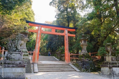 春日大社の境内 参道