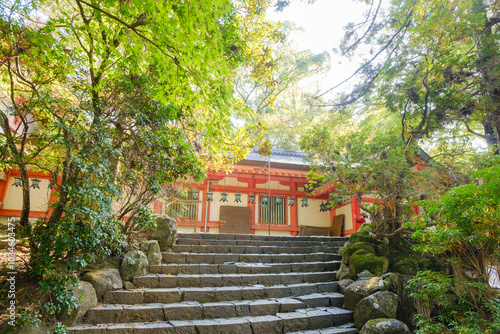 春日大社の境内 参道