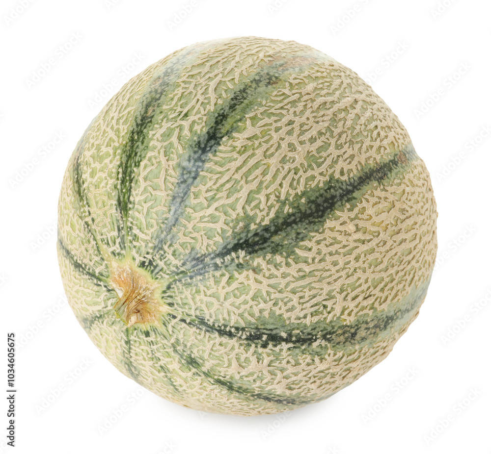 One whole Cantaloupe melon isolated on white One whole Cantaloupe melon isolated on white