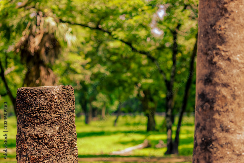 The background of one of the important tourist attractions in Sukhothai Historical Park, Wat Si Chum, has a large Buddha statue that is hundreds of years old for tourists to learn about its history.